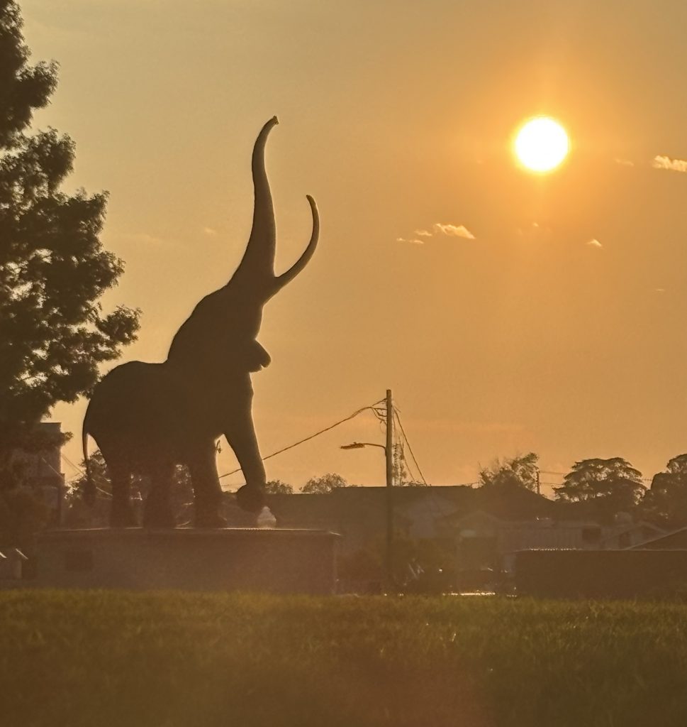 large elephant statue with trunk up in the air silhouetted with the sun in the back