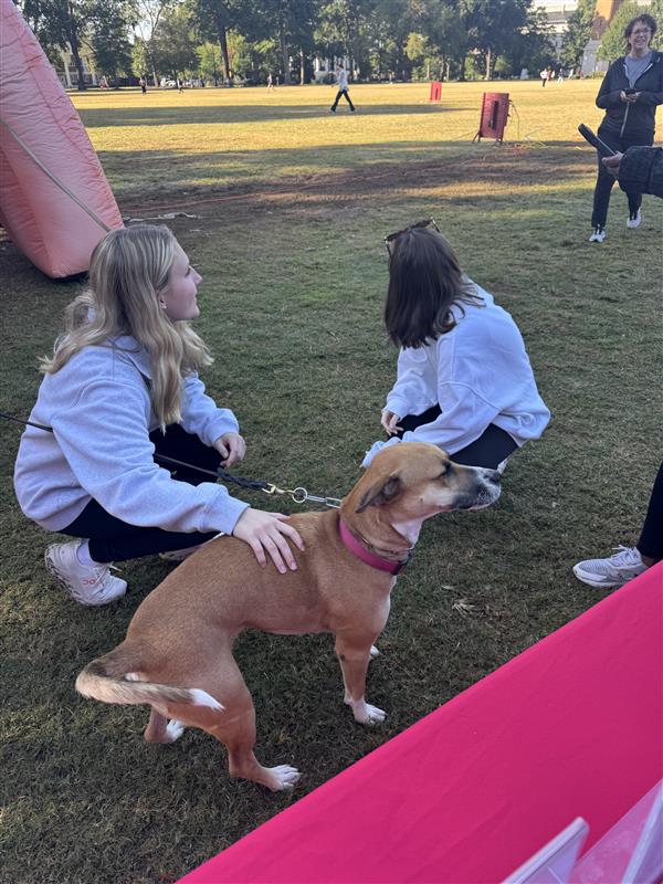 2 women crouch down petting a brown and white dog with a pink collar