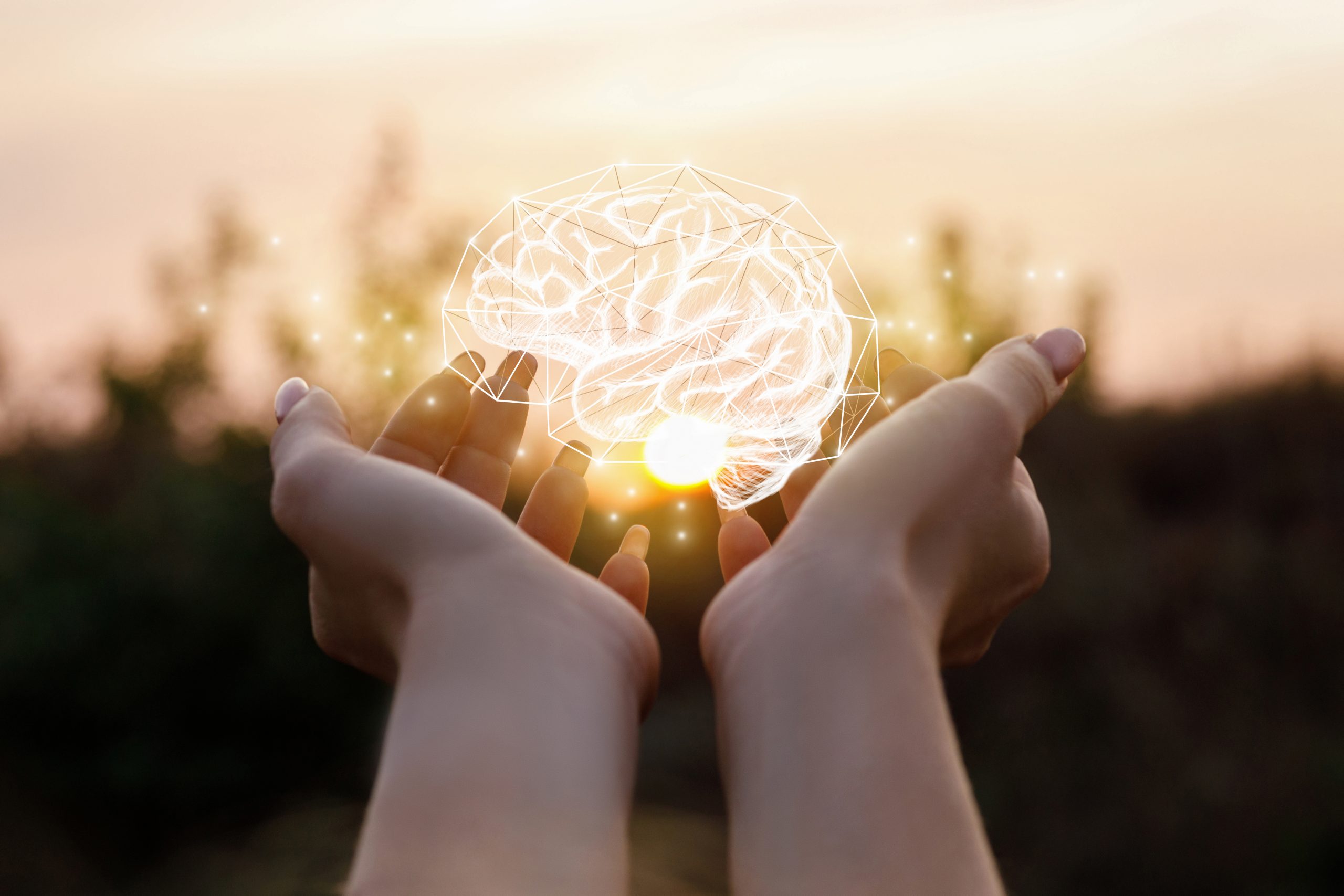 Female hand shows the brain in the sun.